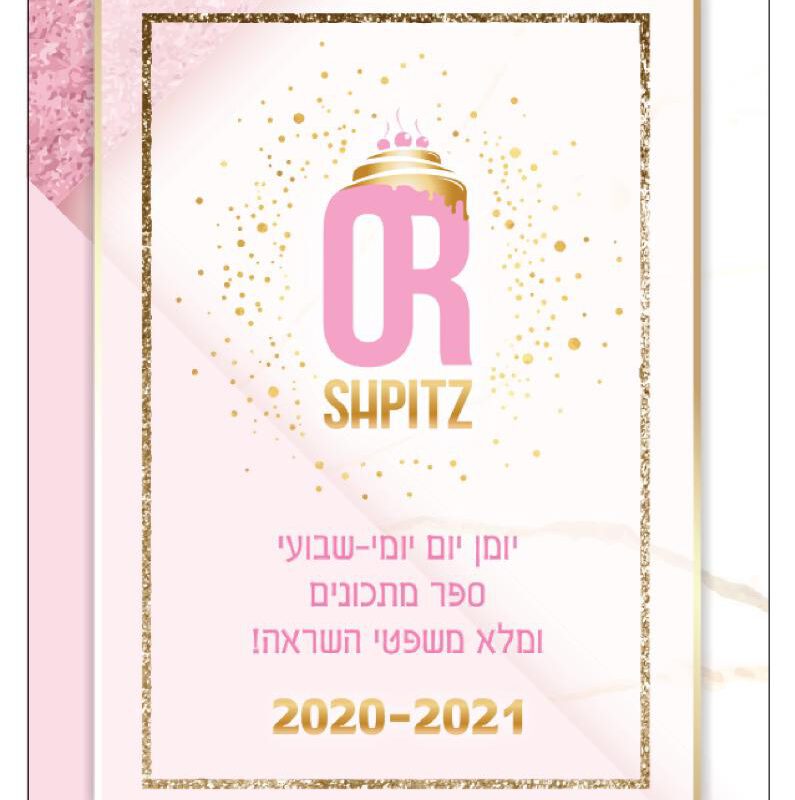 יומן אור שפיץ