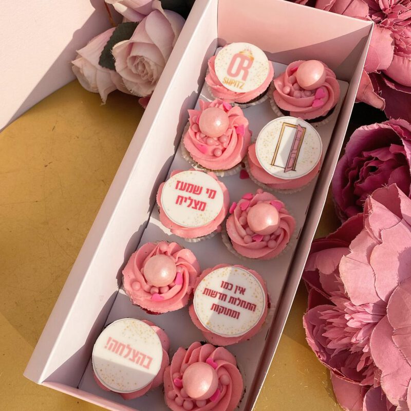 התחלות חדשות